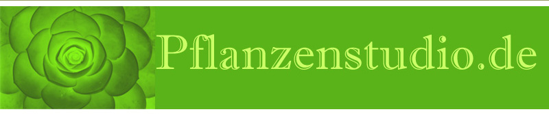 Pflanzenstudio.de_titelbild